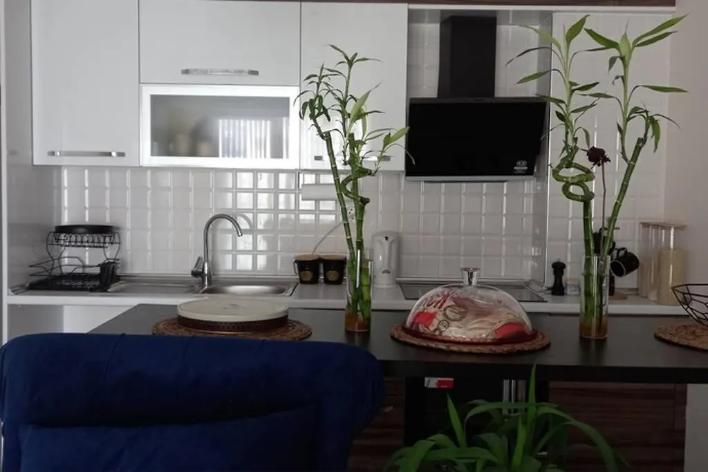 Apartment Aris Grand Tower Hotel Istanbul